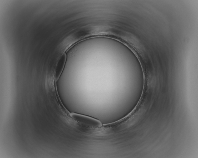 X0000110861273200906251201