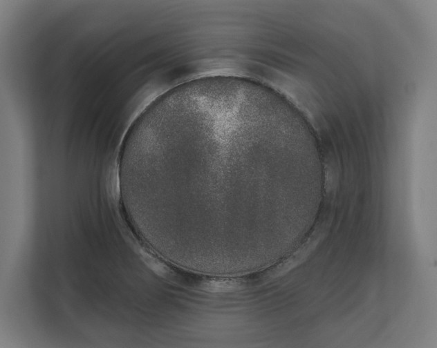 X0000110861274200906251201