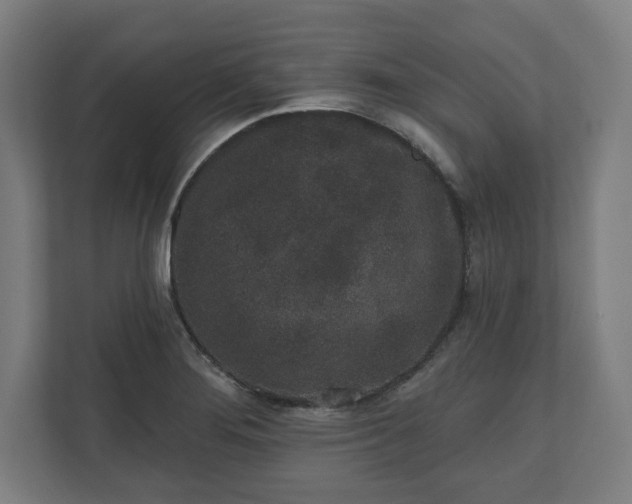 X0000110861276200906251201