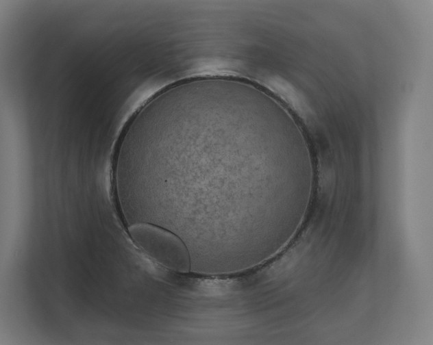 X0000110861277200906251201