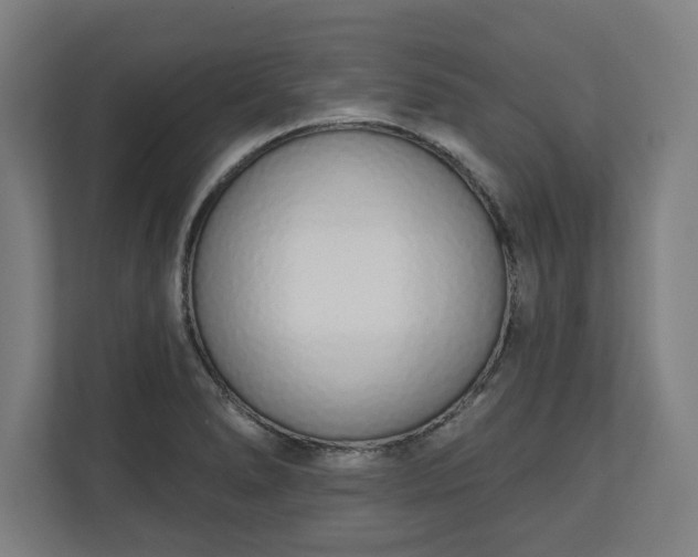 X0000110861278200906251201