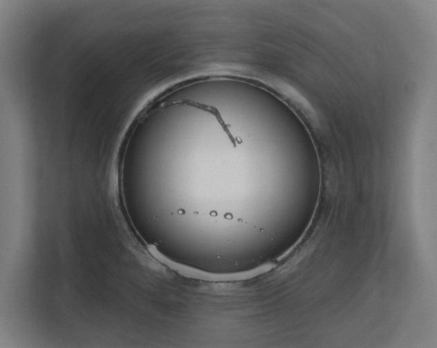 X0000110861280200906251201