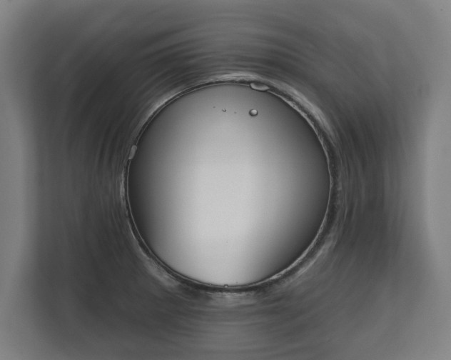 X0000110861281200906251201