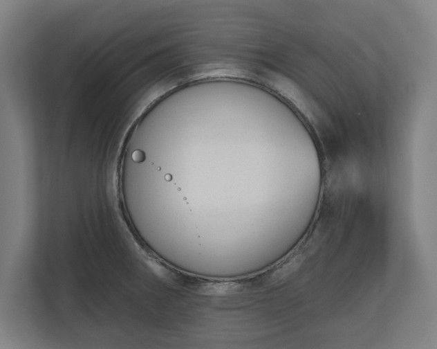 X0000110861282200906251201