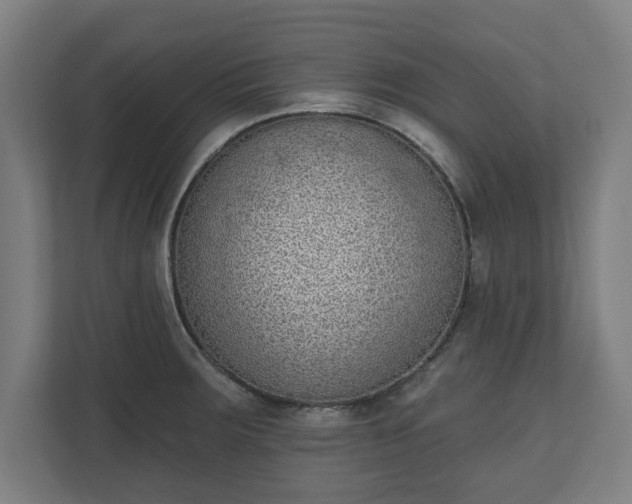 X0000110861283200906251201