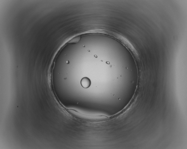 X0000110861284200906251201