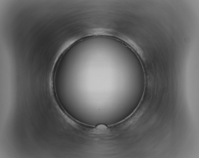 X0000110861285200906251201