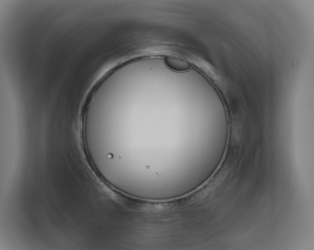 X0000110861286200906251201