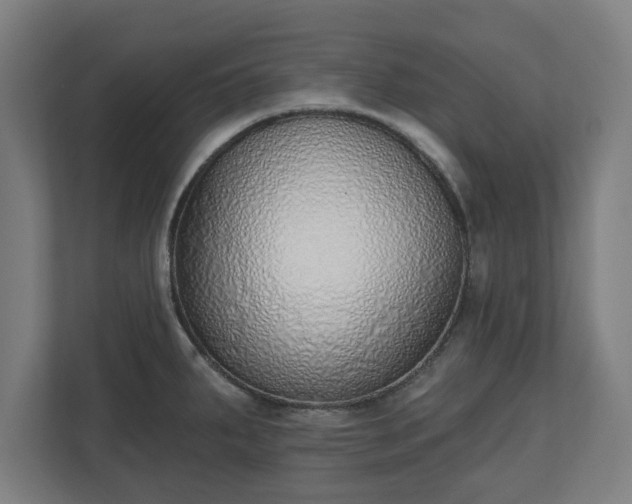 X0000110861287200906251201