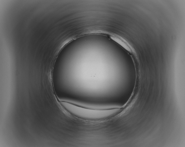 X0000110861289200906251201