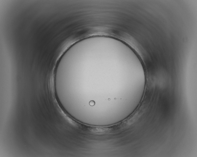 X0000110861290200906251201