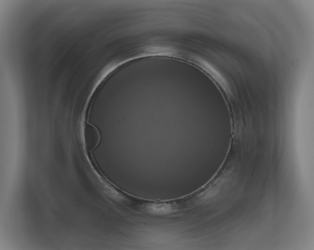 X0000110861291200906251201