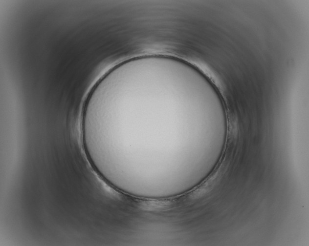 X0000110861294200906251201