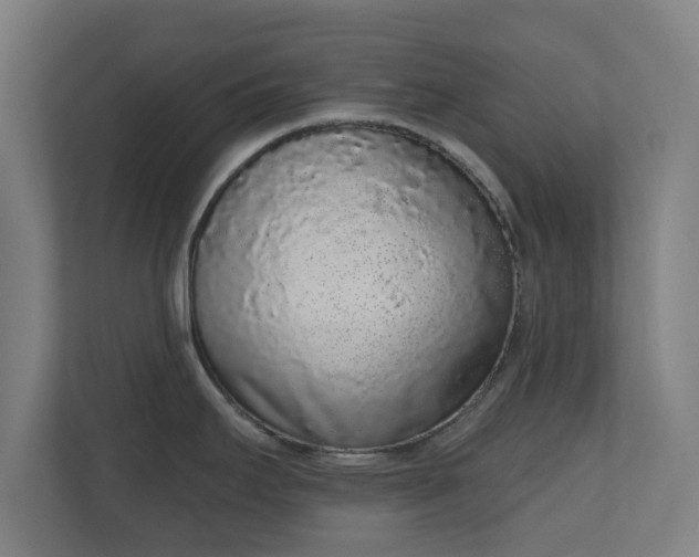 X0000110861295200906251201