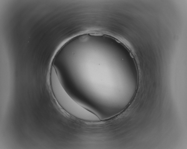 X0000110861296200906251201