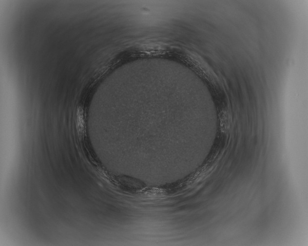 X0000110861298200906251200