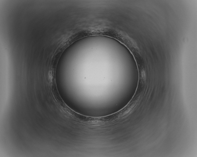 X0000110861300200906251200