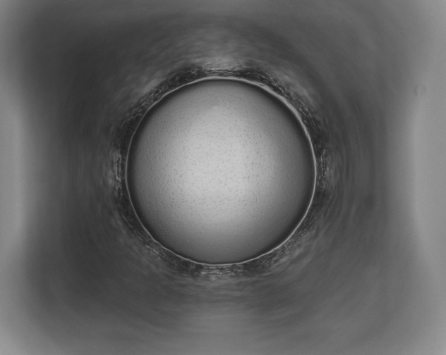 X0000110861301200906251200