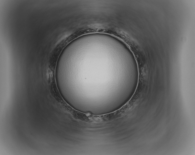 X0000110861302200906251200