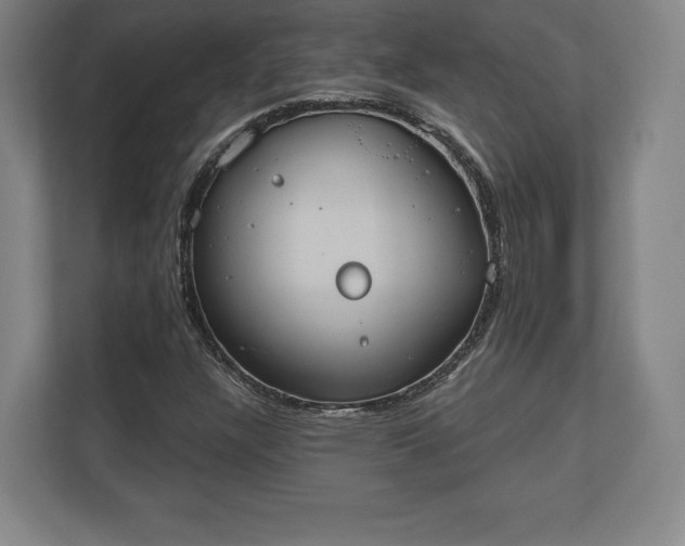 X0000110861304200906251200