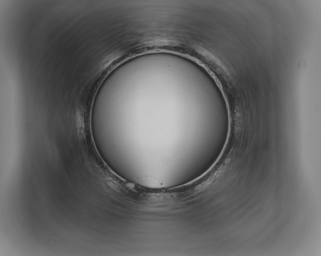 X0000110861305200906251200