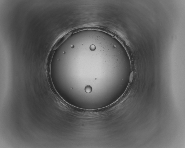 X0000110861308200906251200