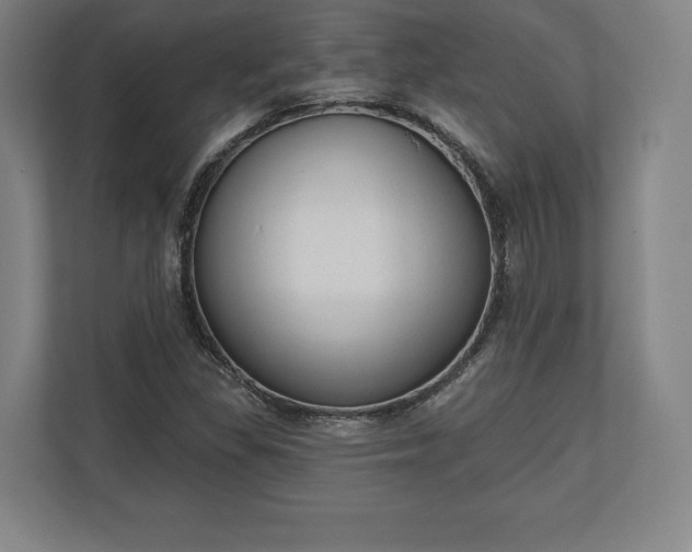 X0000110861309200906251200