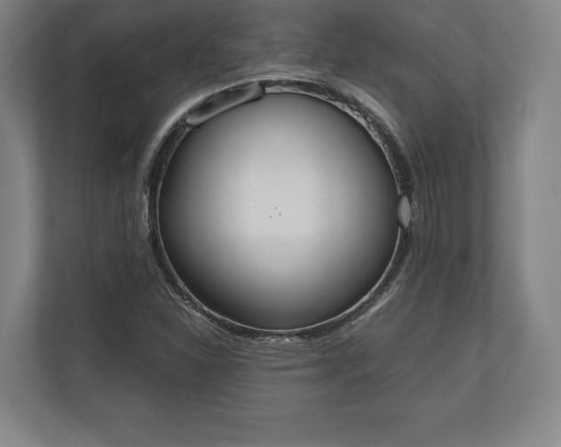 X0000110861310200906251200