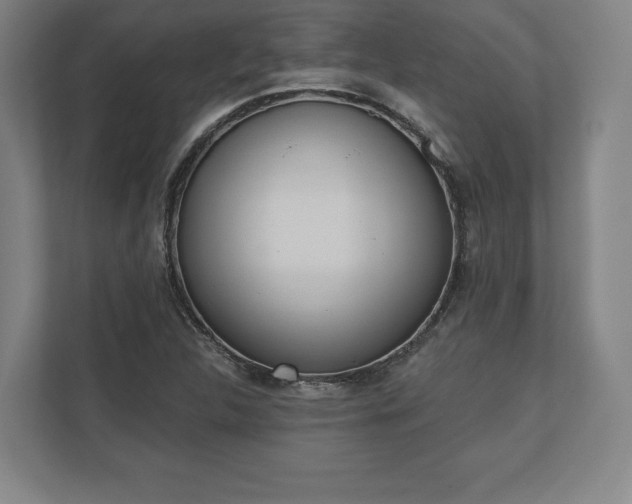 X0000110861312200906251200