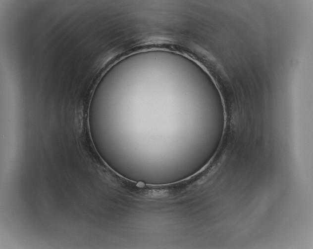 X0000110861313200906251200