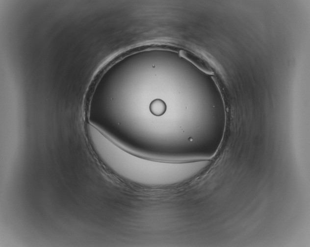 X0000110861316200906251200