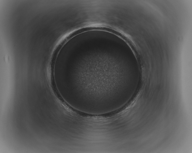 X0000110861319200906251200