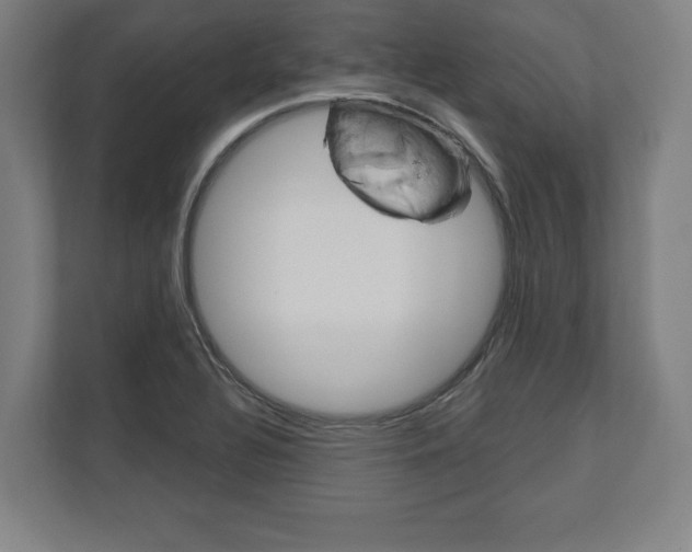 X0000110861320200906251200