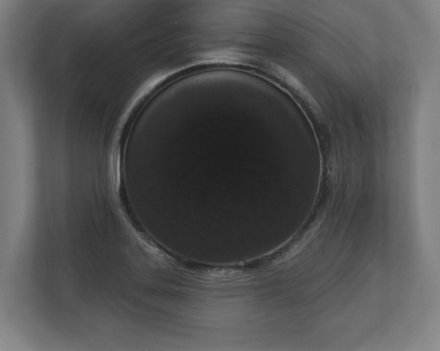 X0000110861323200906251200