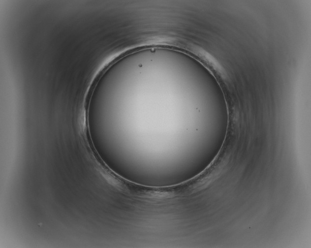 X0000110861324200906251200