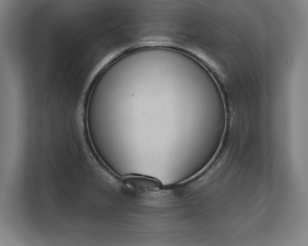 X0000110861325200906251200