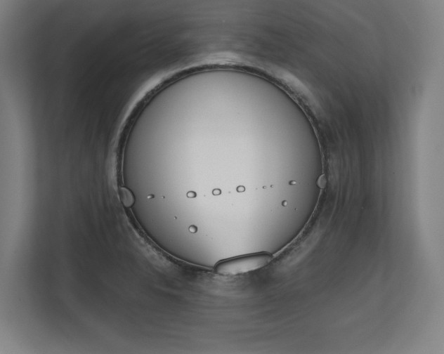 X0000110861326200906251200