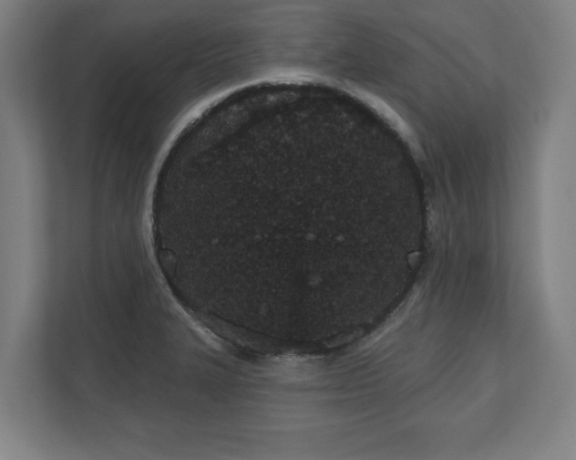 X0000110861327200906251200