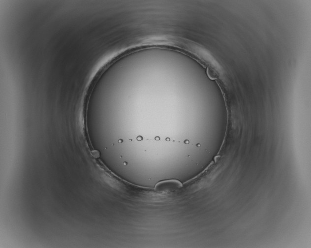 X0000110861328200906251200