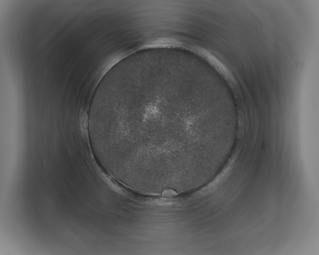 X0000110861329200906251200