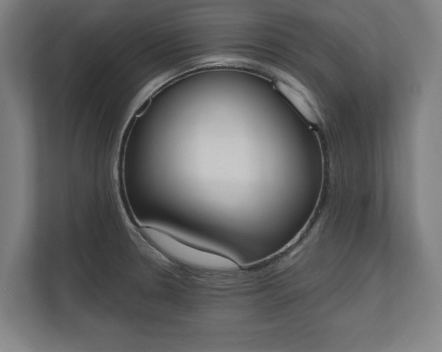 X0000110861330200906251200