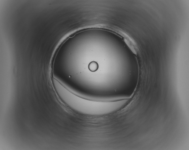 X0000110861332200906251201