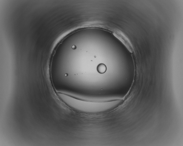 X0000110861336200906251201