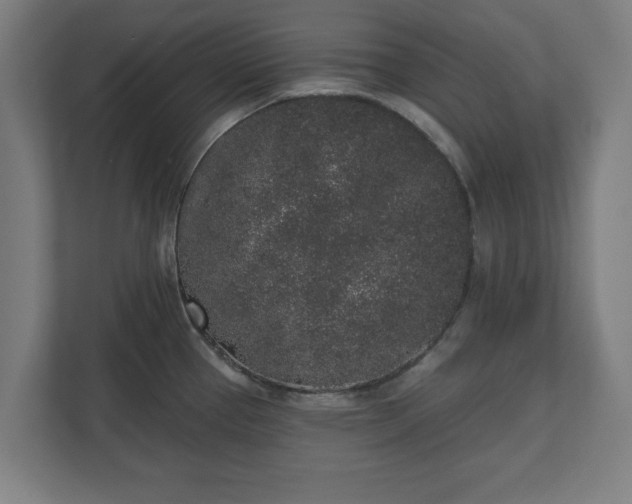 X0000110861337200906251201