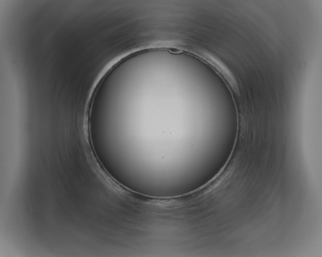 X0000110861340200906251201