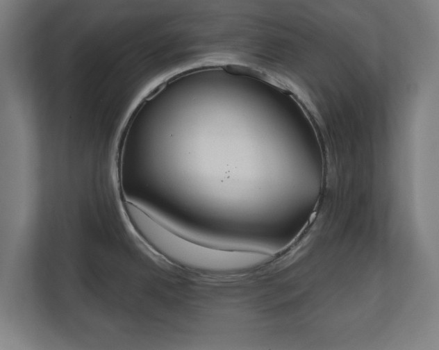 X0000110861342200906251201