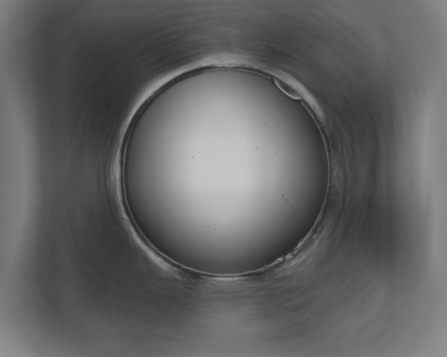 X0000110861343200906251201