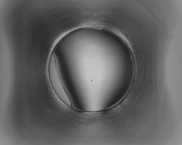 X0000110861344200906251201