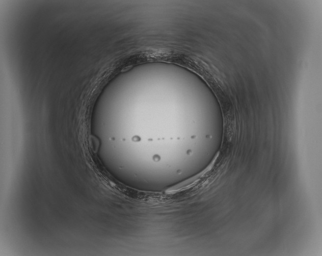 X0000110861345200906251200