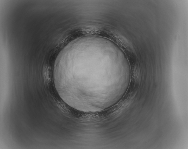 X0000110861346200906251200